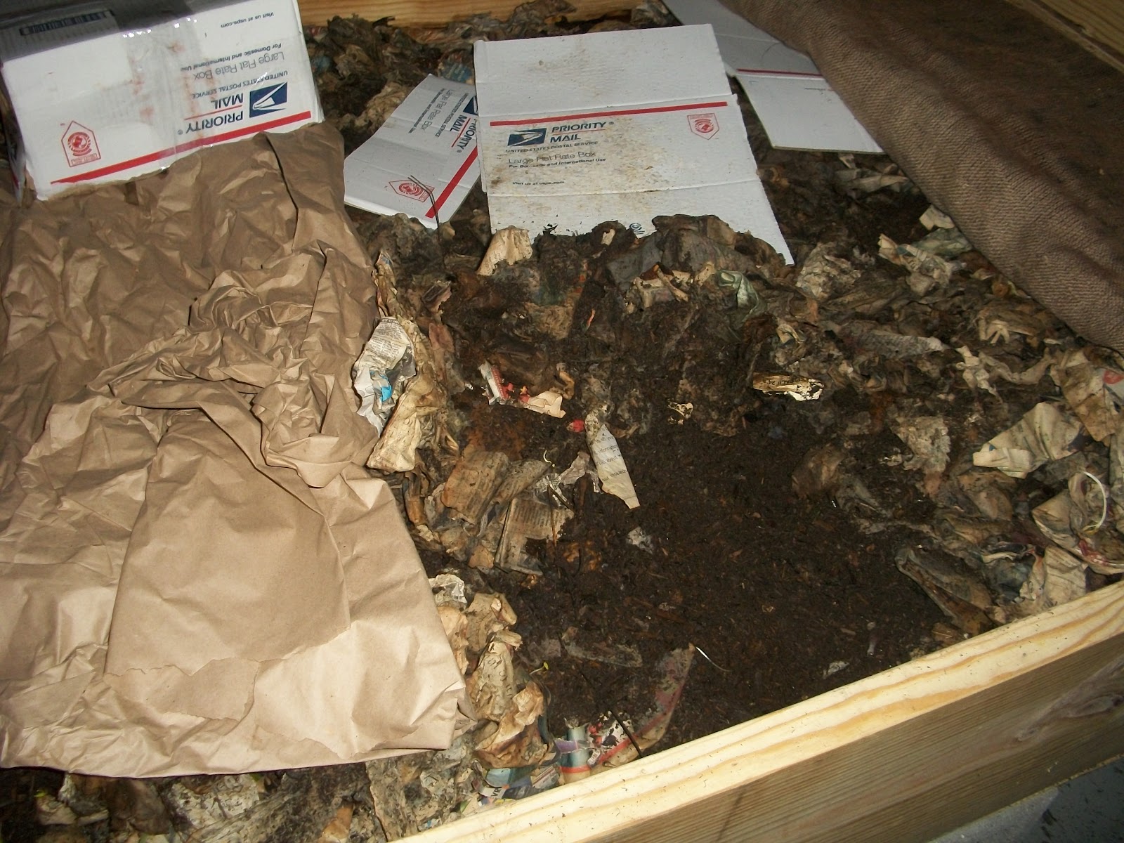 ENVS Real Life Dirty Worms