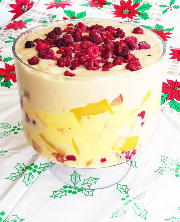 My Wholefood Family Essentials My Summer Fruit Trifle (Thermomix)