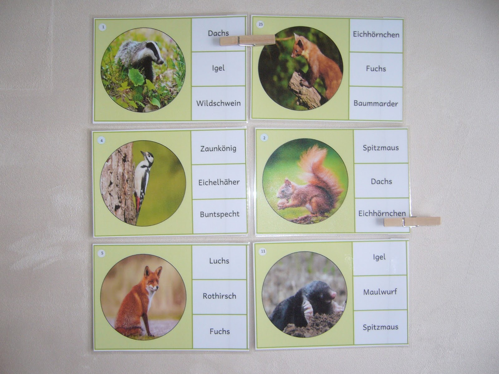 Lapbook Waldtiere