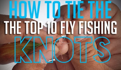 http://www.flyfishinsalt.com/techniques/knots-rigging/top-10-fly-fishing-knots