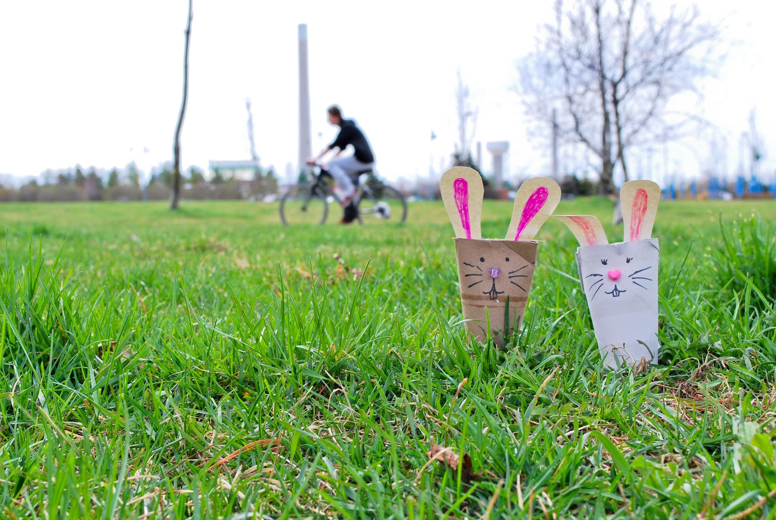 How to.... do something How to make toilet paper tube bunnies