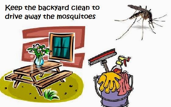 Natural Remedy To Get Rid Of Mosquitoes Keep The Backyard Clean