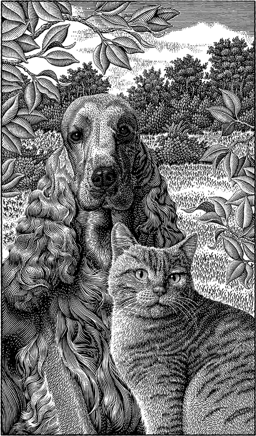 19-Cocker-Spaniel-and-a-Cat-Michael-Halbert-Scratchboard-Images-of-Animals-and-Architecture-www-designstack-co