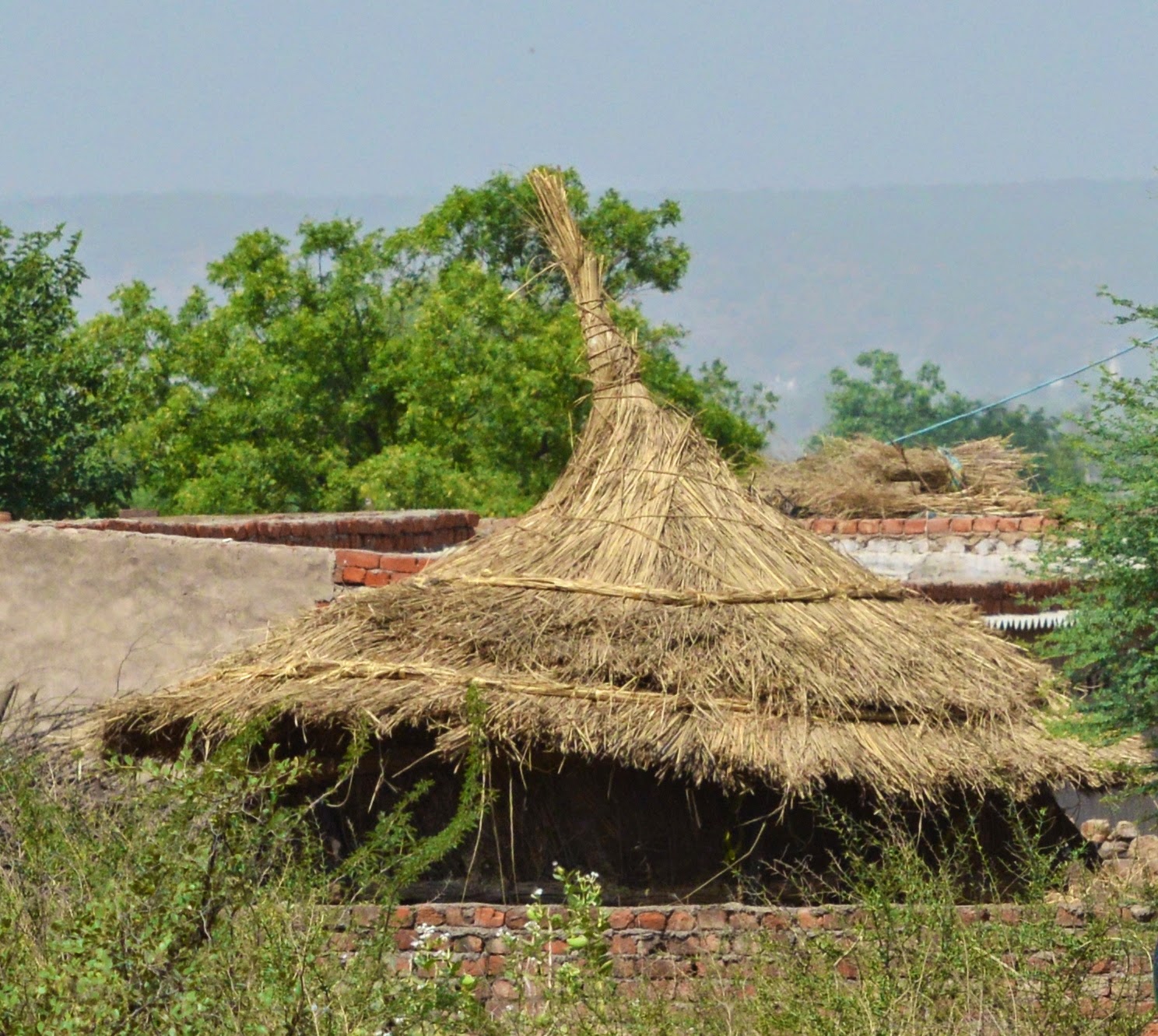 The House of Susanna / my life in India Harvest time means building