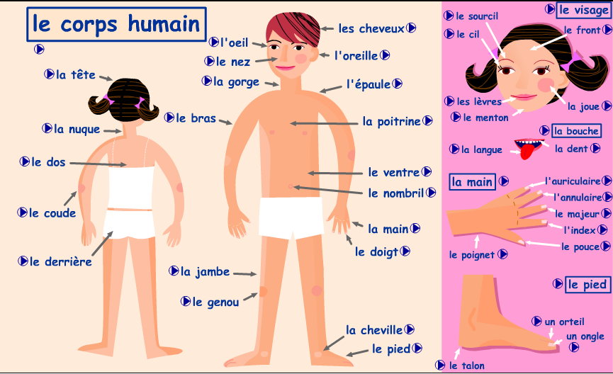 site rencontre apprendre langue