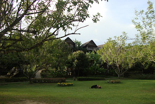 Cliff and River Resort Khao Sok