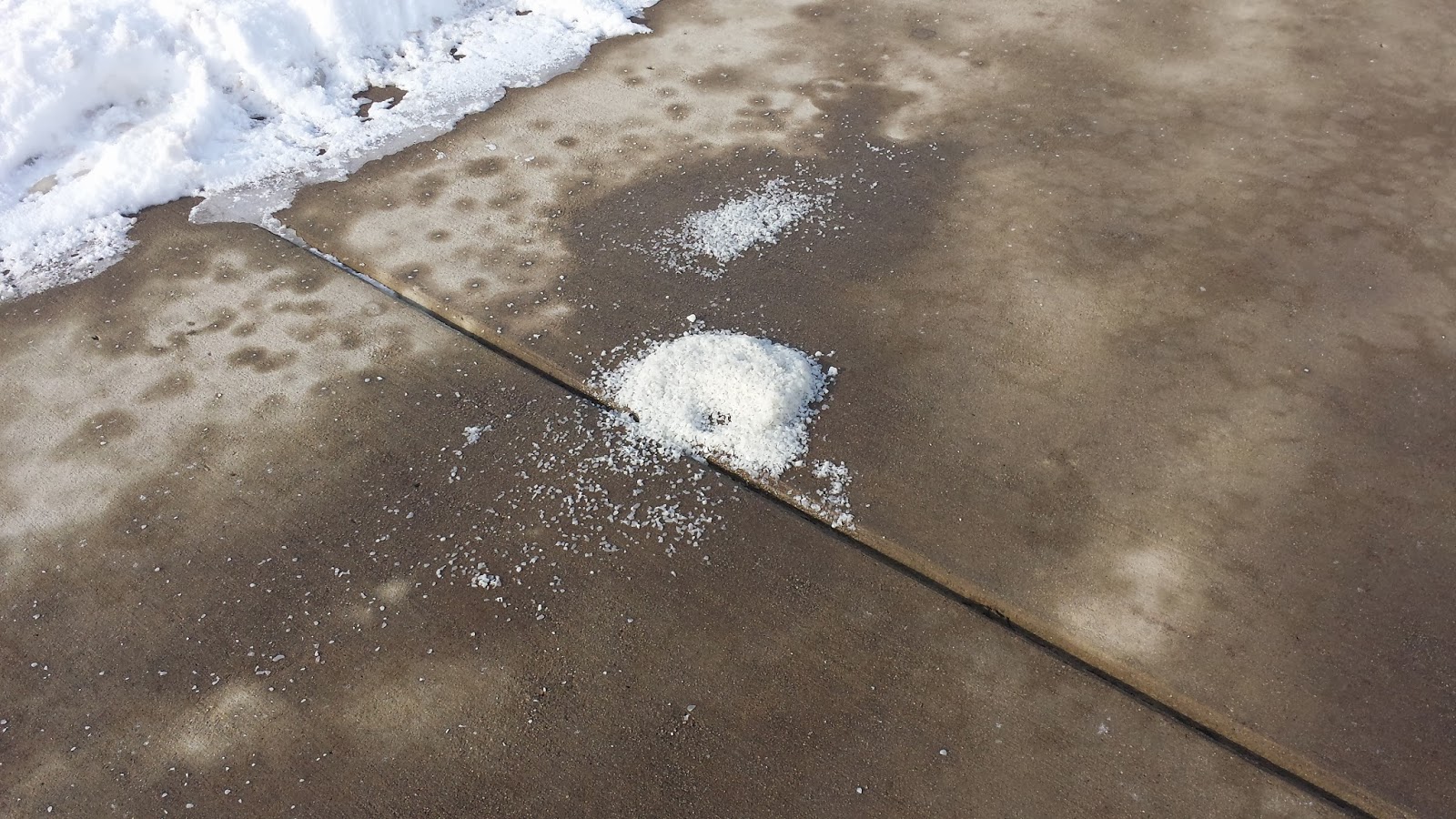 COHorts Is there a safe deicing product for sidewalks and plants?