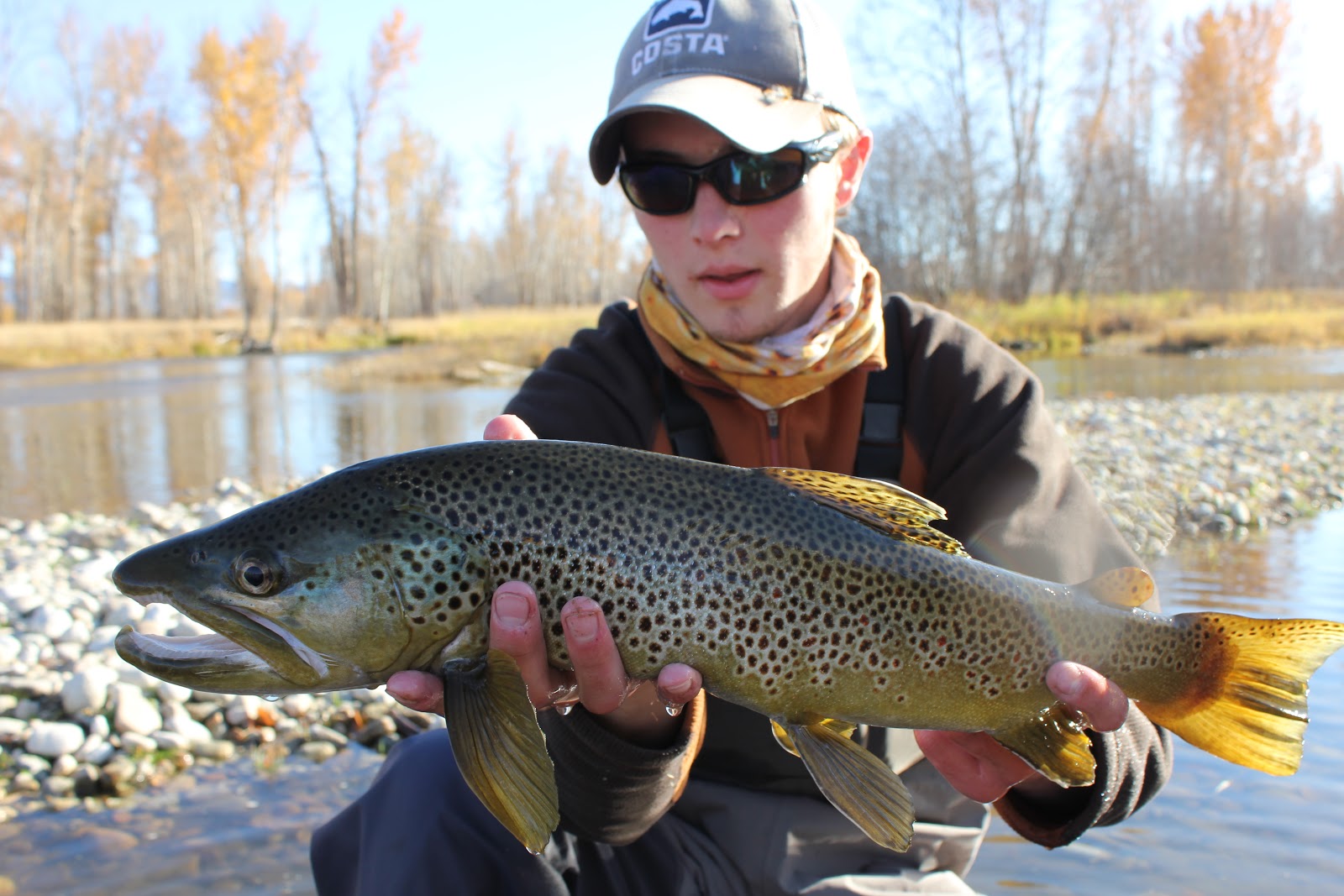 kype jawed brown trout kype jawed brown trout