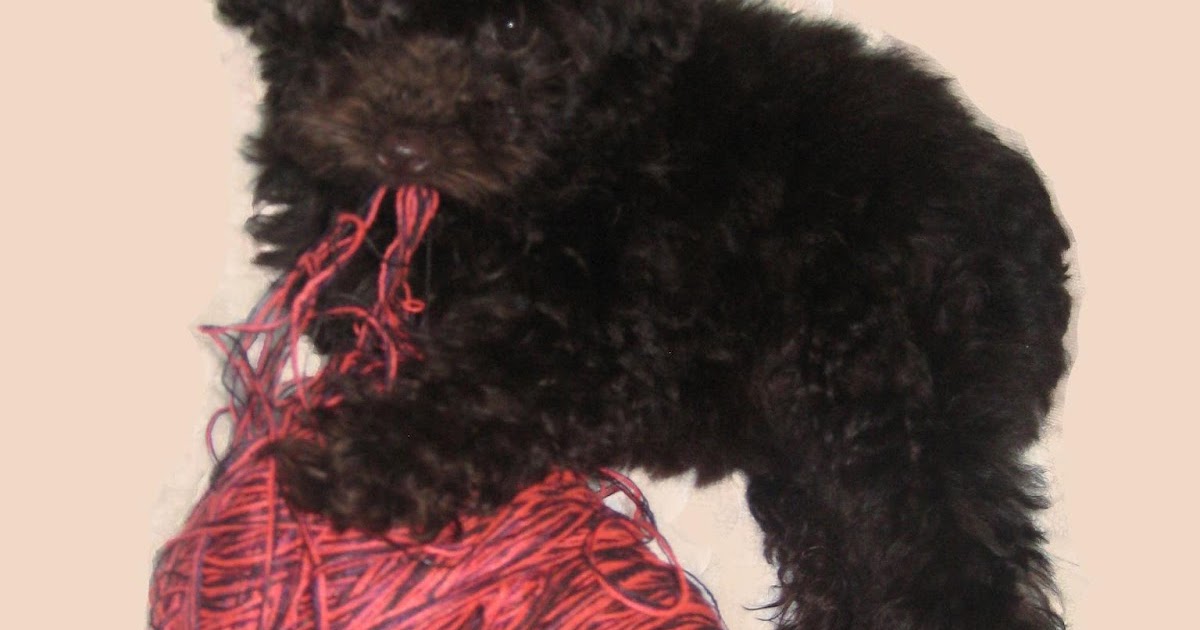 Crochet Philippines Feature of the Month Yarn Source Manila