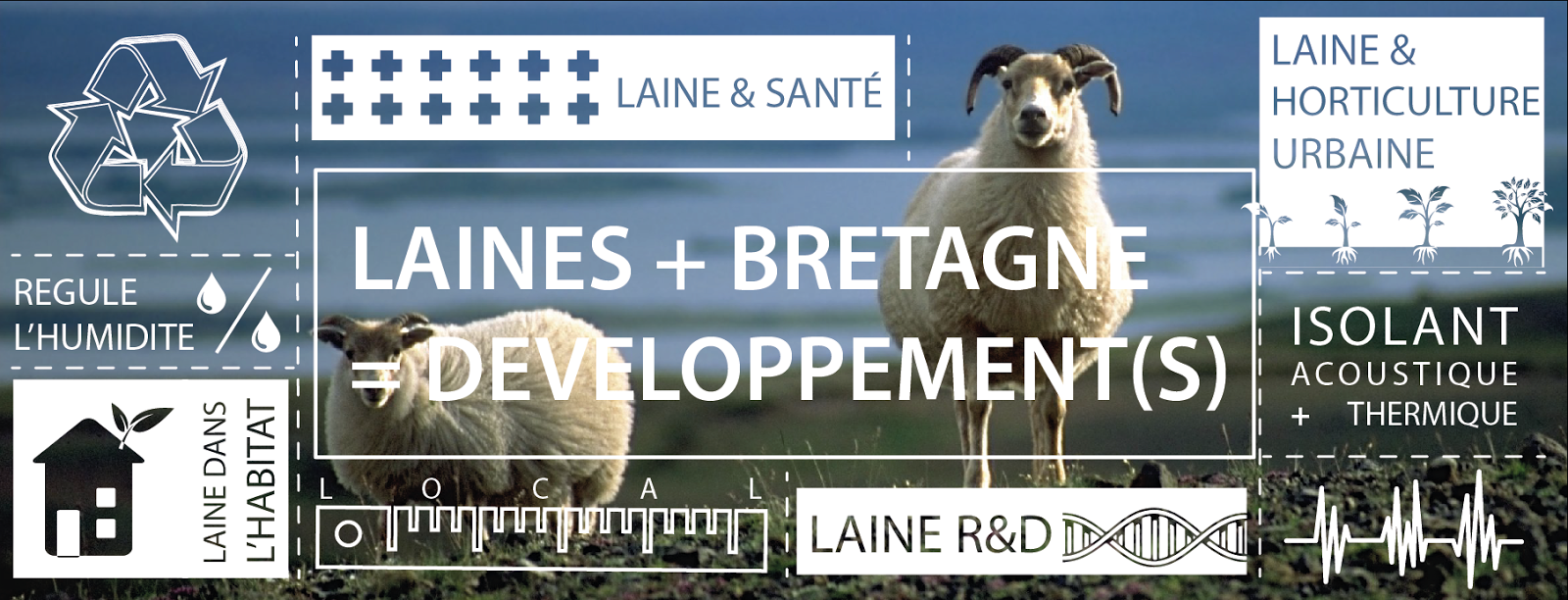 Laines + Bretagne = Développement(s)