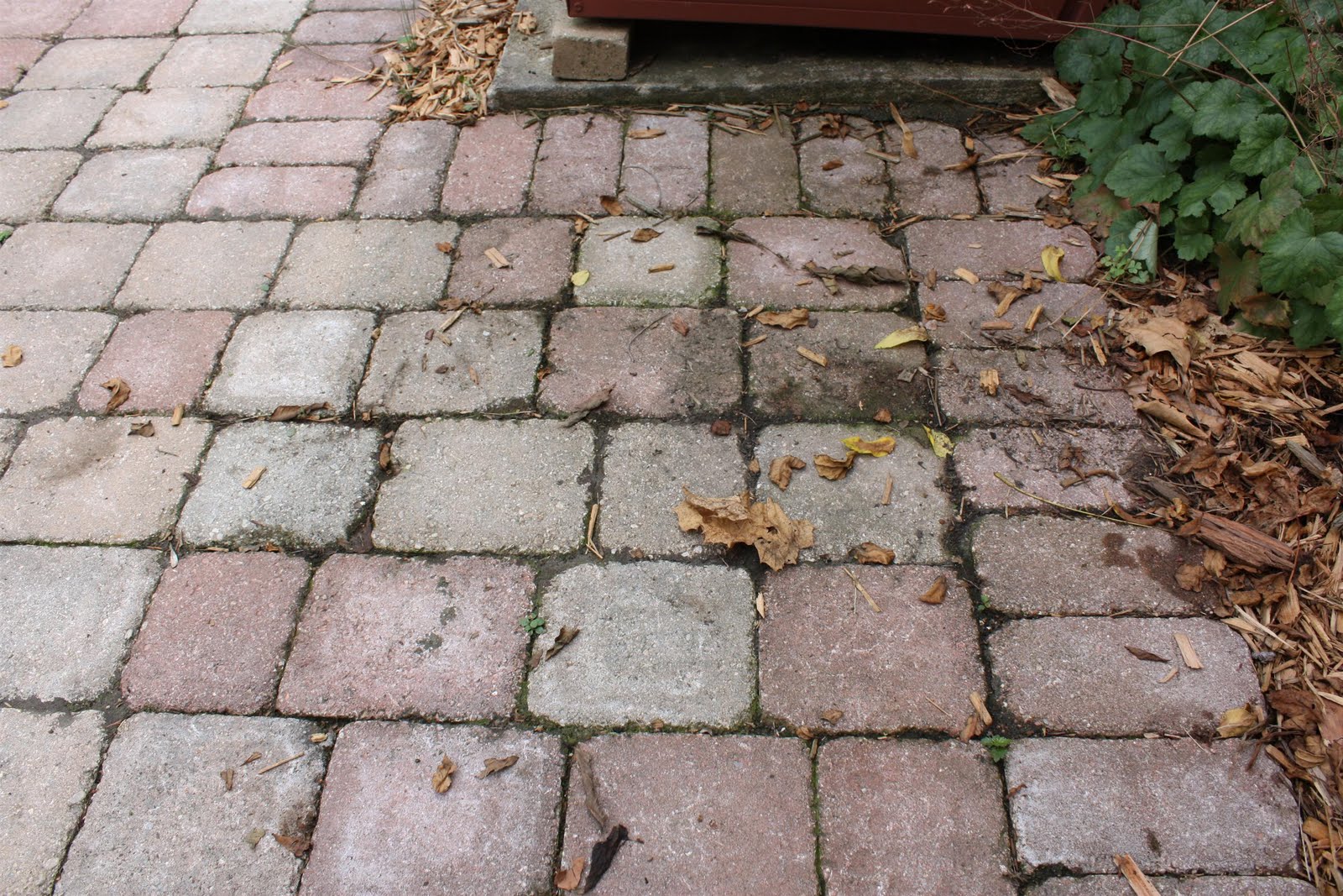 Russet Street Reno Sand in your crack