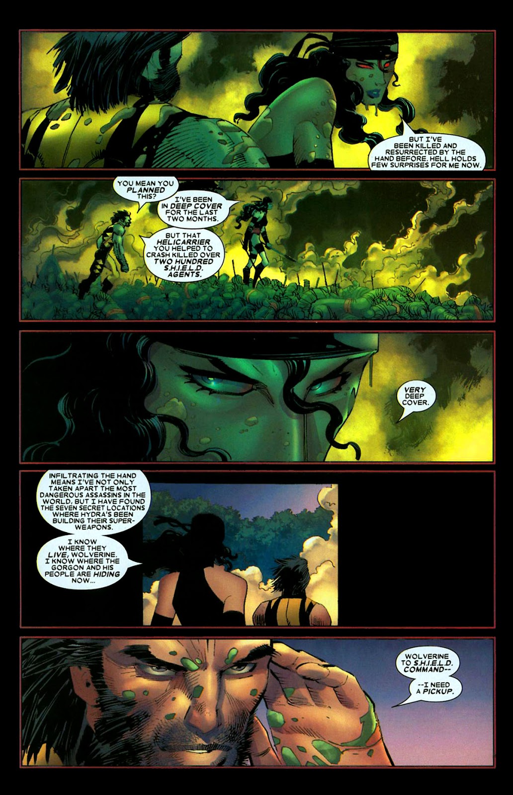 Read online Wolverine (2003) comic - Issue #29 - 20