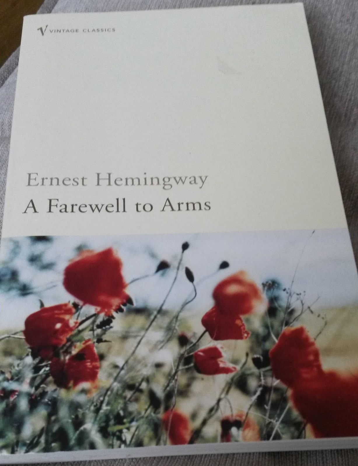 an overview of the themes in a farewell to arms by ernest hemingway an overview of the themes in a farewell to arms by ernest hemingway
