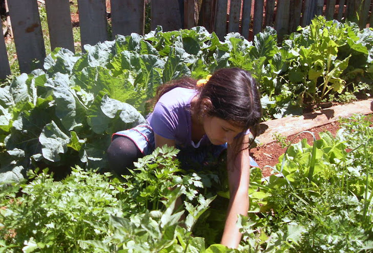 Verduras