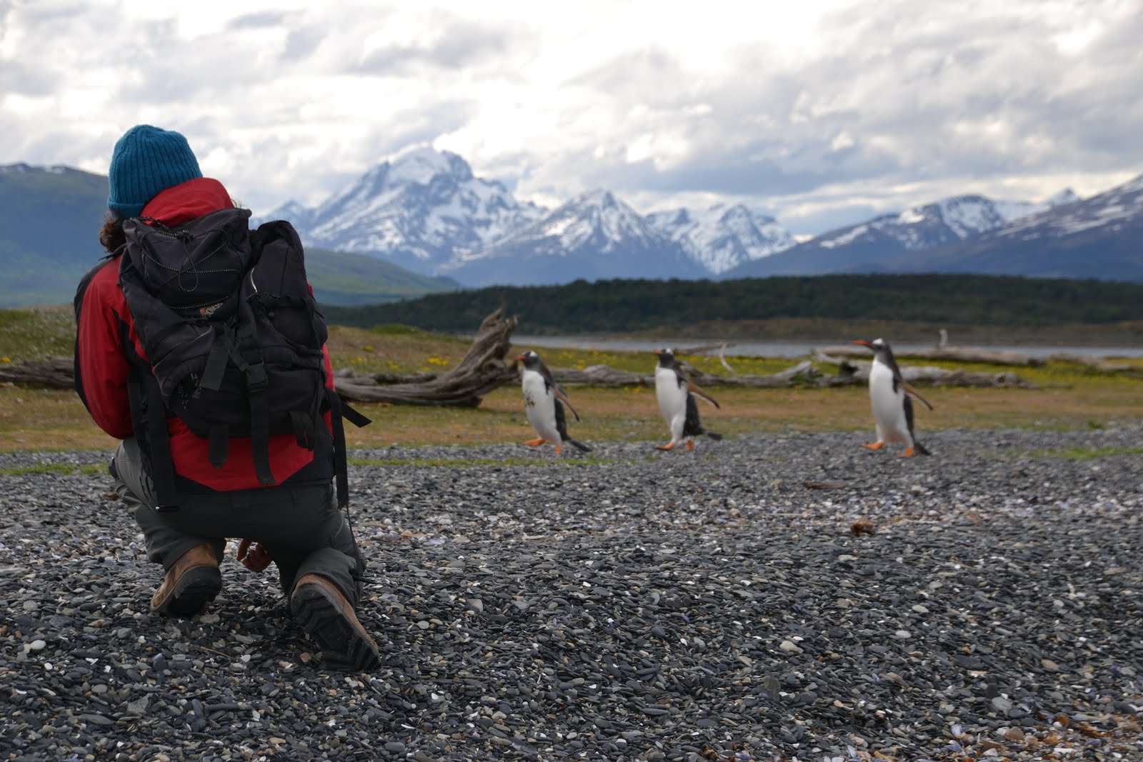 Viagem Recente - Ushuaia