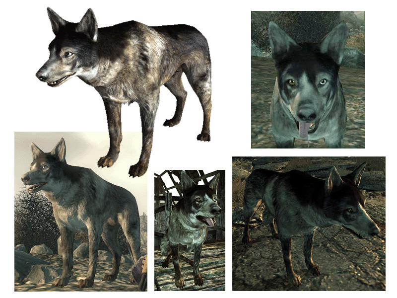 where to get dogmeat in fallout 3 where to get dogmeat in fallout 3