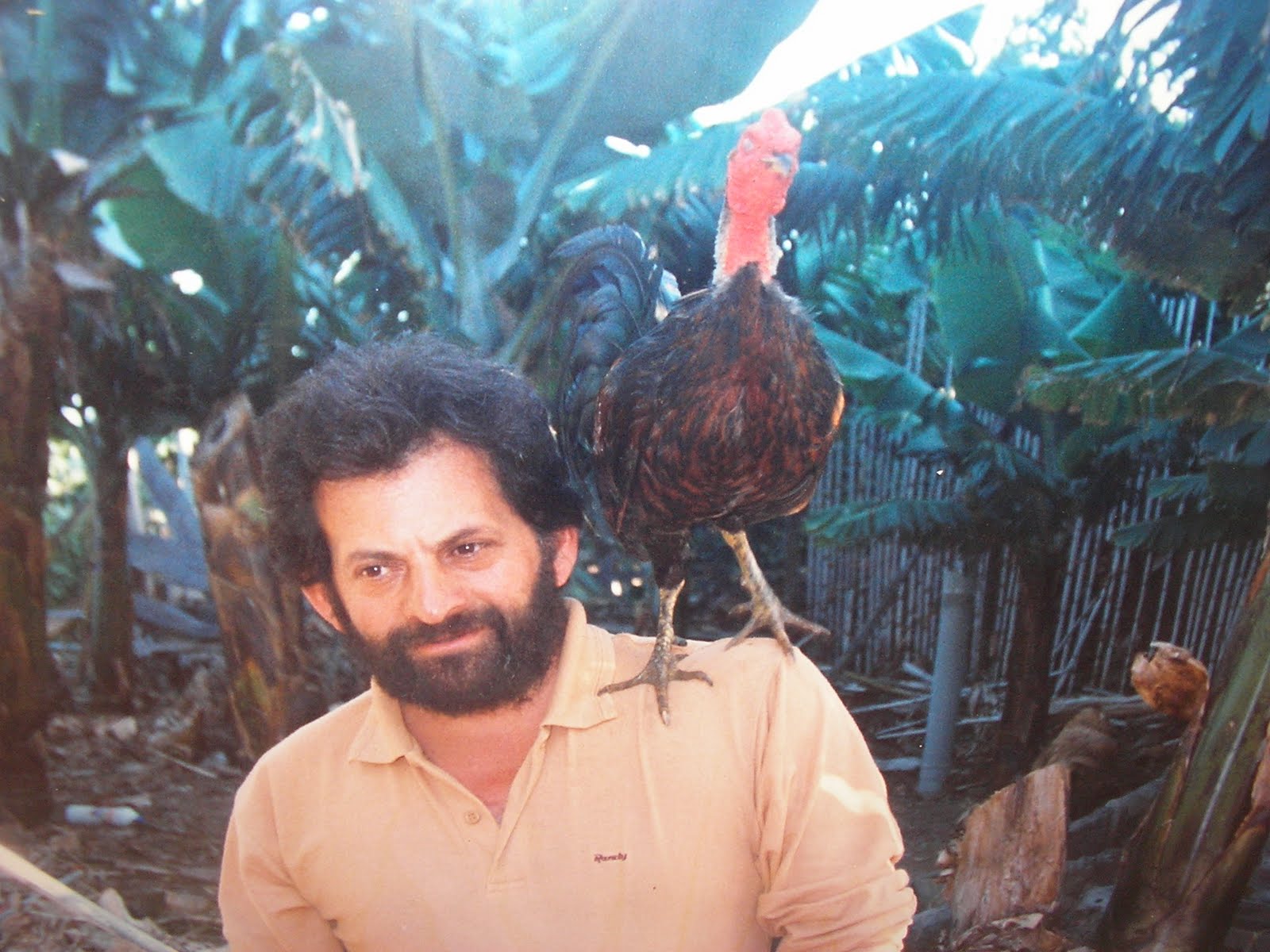 TEMPORADA 20122013 El "Patas Verdes"