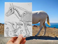 Lapiz versus camara by Ben Heine