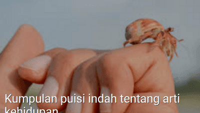 #Kumpulan puisi indah tentang arti kehidupan #Kumpulan puisi indah tentang arti kehidupan