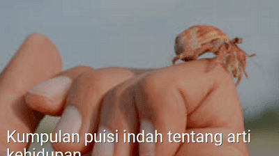 #Kumpulan puisi indah tentang arti kehidupan #Kumpulan puisi indah tentang arti kehidupan