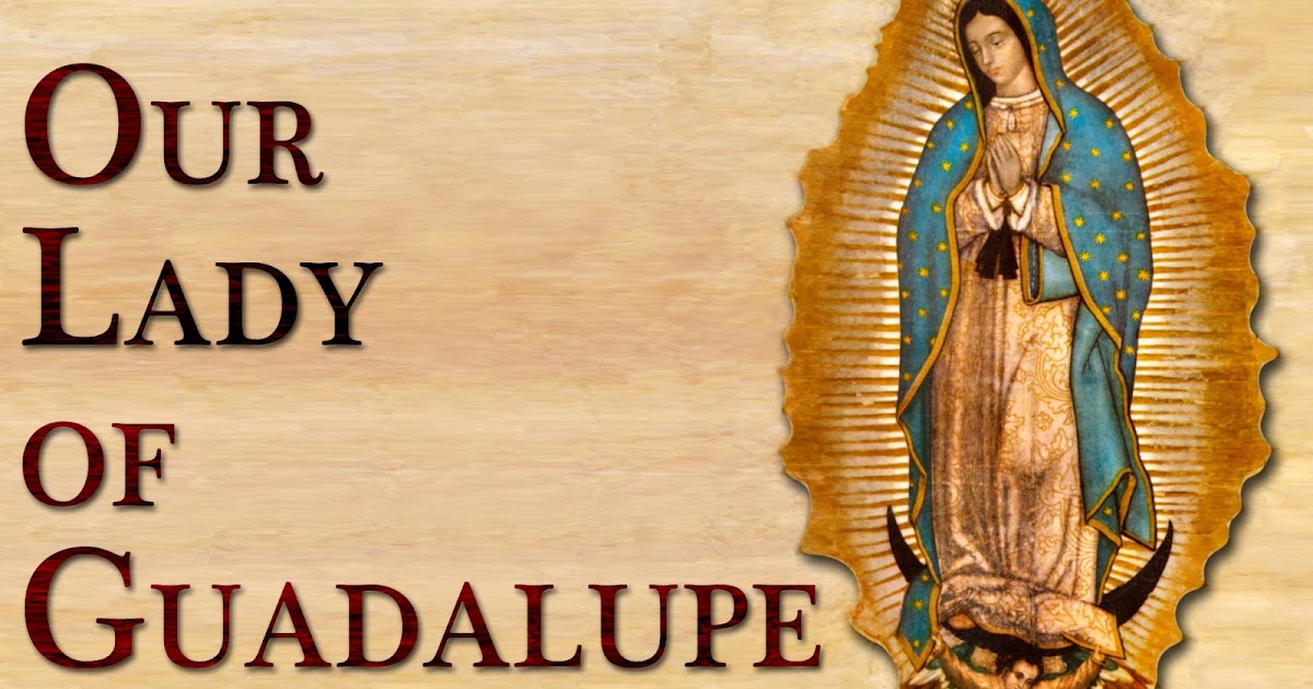 Flower Talk The Flowers of Our Lady of Guadalupe