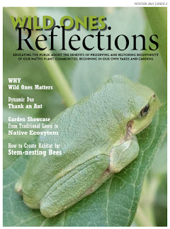Wild Ones Reflections Issue #2