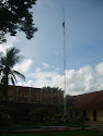 ANTENA RADIO SMA 271