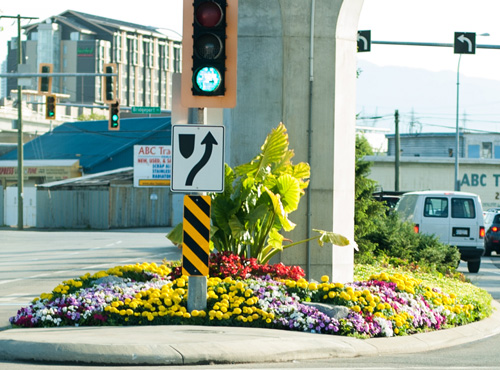 [Image: thanh-pho-day-hoa-cua-dat-nuoc-tuyet-dep...ada-18.jpg]