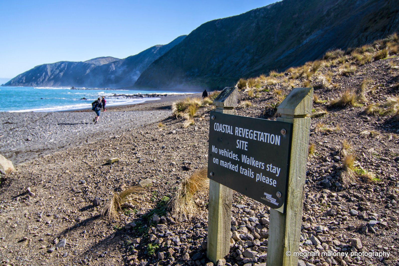NZ Must Do The walk to Red Rocks Seal Colony the adventures of MNMs