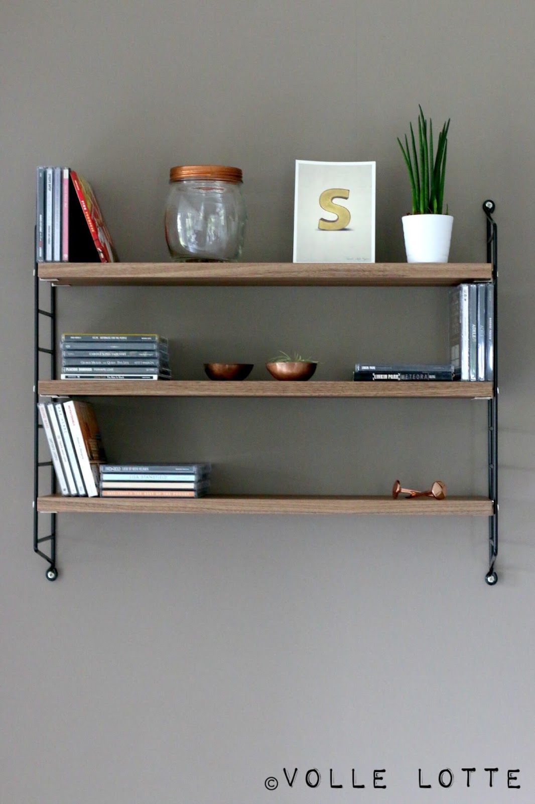 Bochumer Pensionar Liebt Kakteen Uber Alles Lokalzeit Ruhr