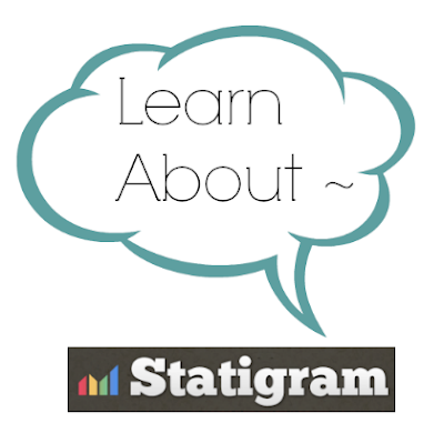 A brief overview and review of Statigram (using Instagram) at The Blog Guidebook