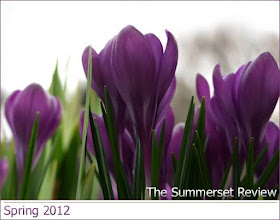 "Night Talk" is Published in The Summerset Review...