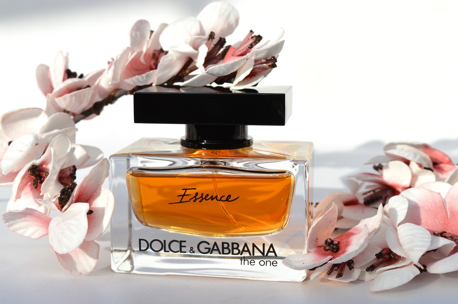 essence de parfum dolce gabbana the one