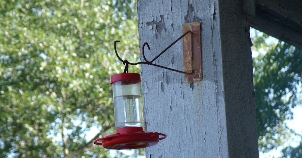 Hoping for a Homestead Homemade Hummingbird Water