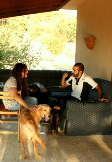 Vesta Kopek Ve Sahip Egitimi Rehabilitasyonu Danismanlik Merkezi Ve Kopek Oteli Izmir Izmir De Kopek Egitimi