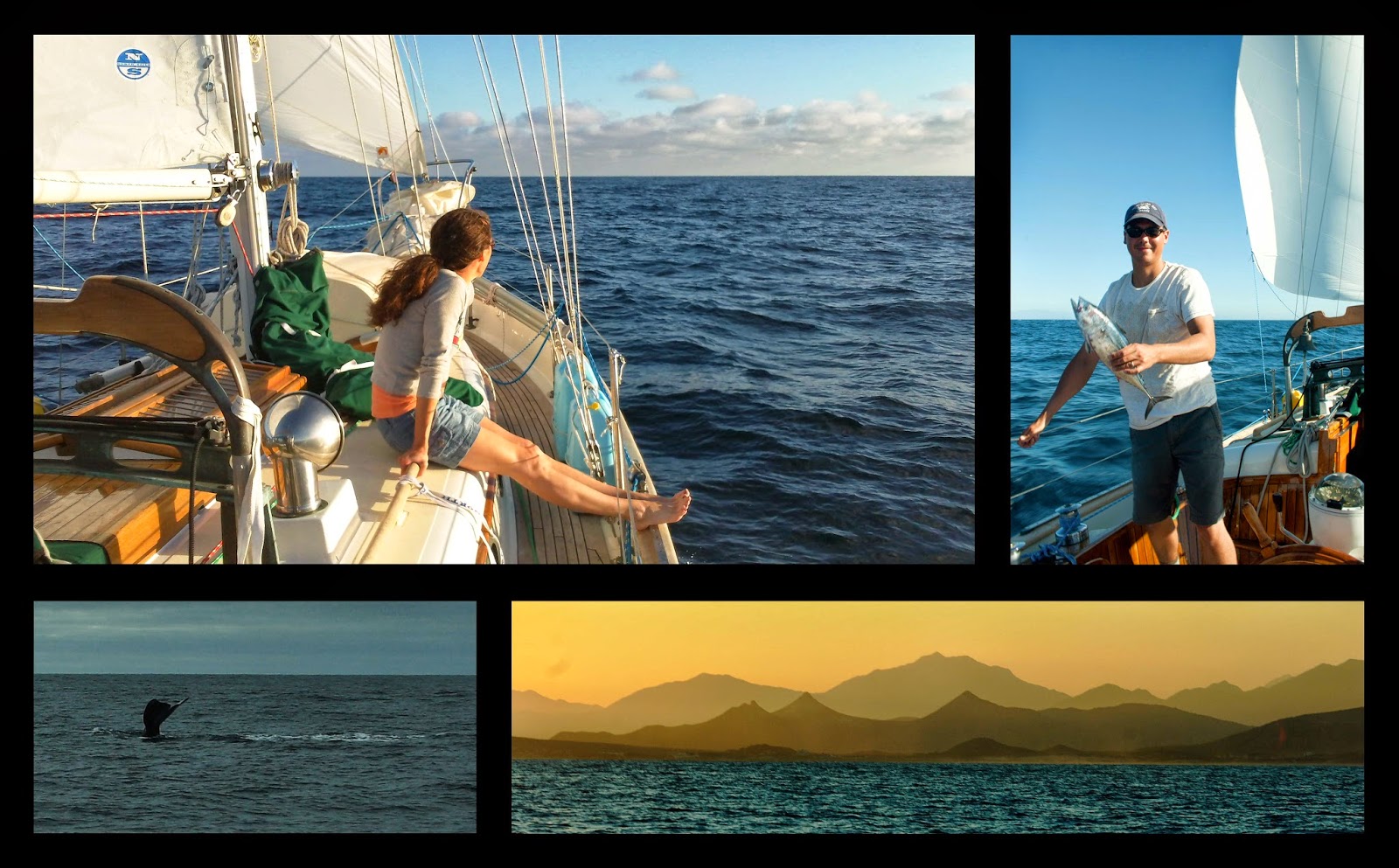 Sailing Saviah San Diego to Cabo San Lucas (2010)