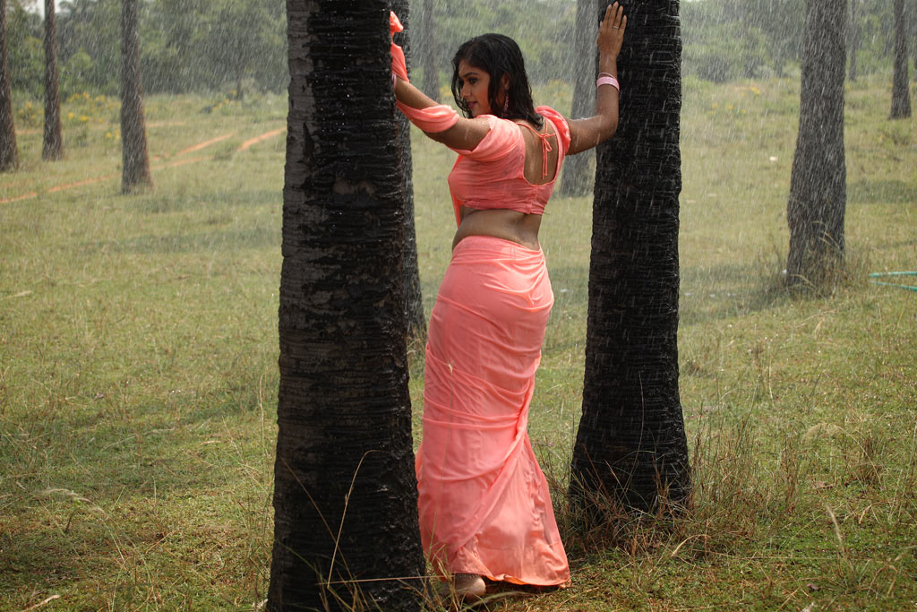 Meghna Raj Hot tight dress wet saree sexy asset show cleavage 