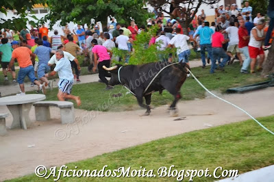 https://picasaweb.google.com/112628067891720623695/CorucheFestasNSrCasteloTouradaACordaReportagemFotografica18h00180813#slideshow/5958124947048540674