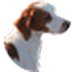 Viajo sola de Samuel Bjork