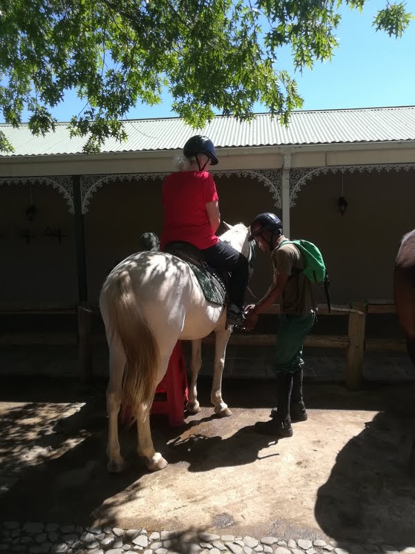 Checking stirrups