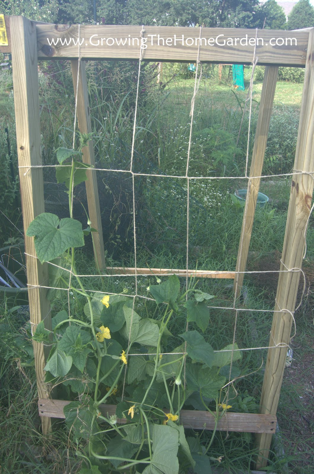 Homemade Cucumber or Melon Trellises Growing The Home Garden