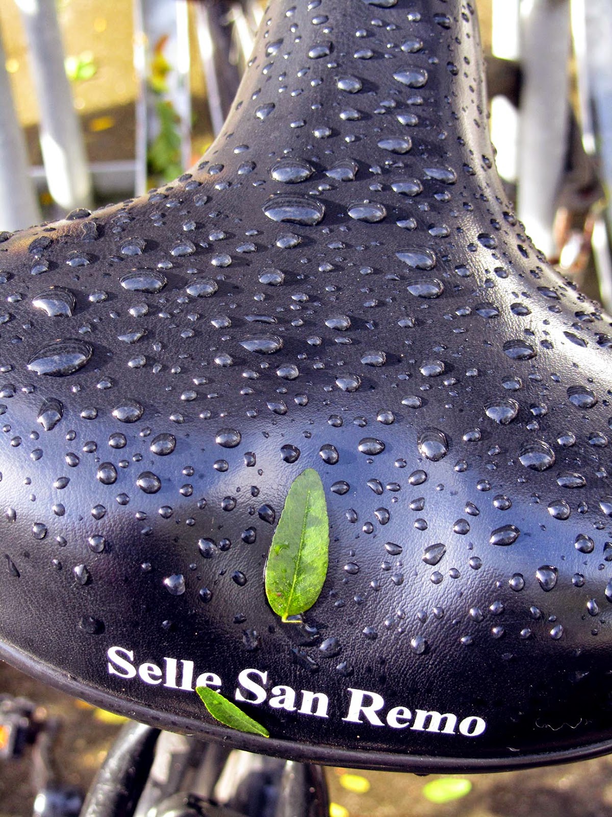 raindrops and leaves on bike saddle