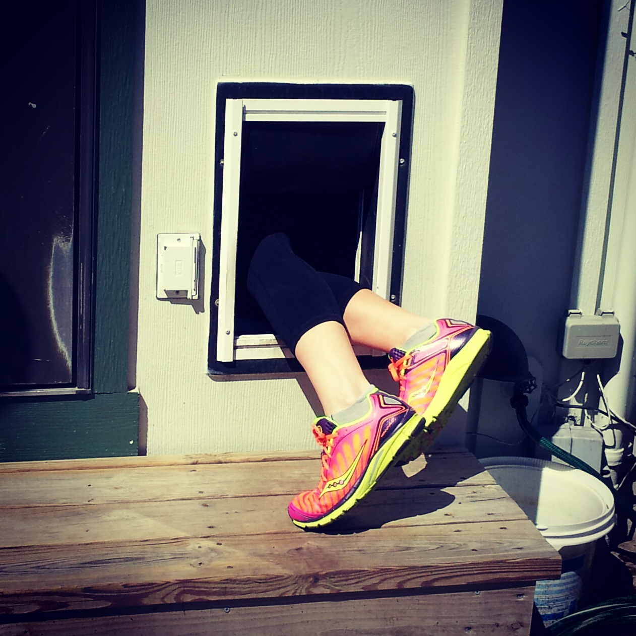 Life makes me Laff Rocking it through the dog door