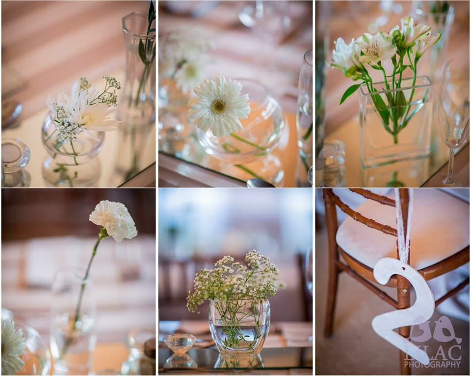 Black Carpet Events Gallery