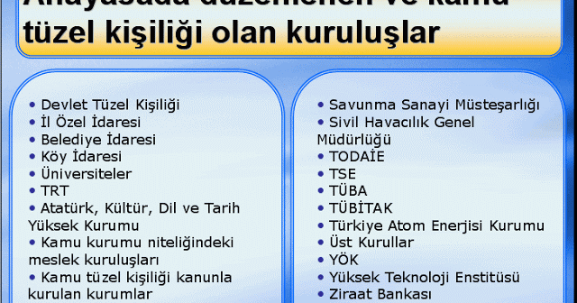 Anayasada Düzenlenen Kamu ve Tüzel Kişiliği Olan Kuruluşlar