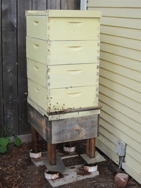 Lumber dimensions are variable