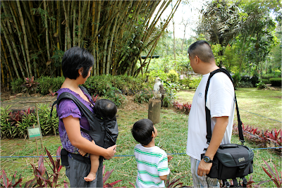 babywearing with BobaAir in Philippines
