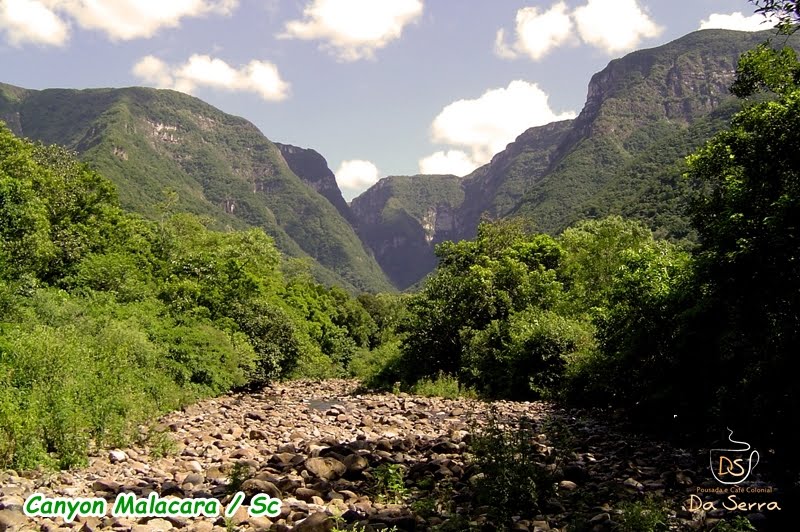 CANYON - ÍNDIOS COROADOS