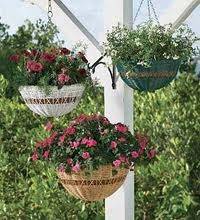 Vida a lo Verde*Living in Green*: Plantas en cestas colgantes