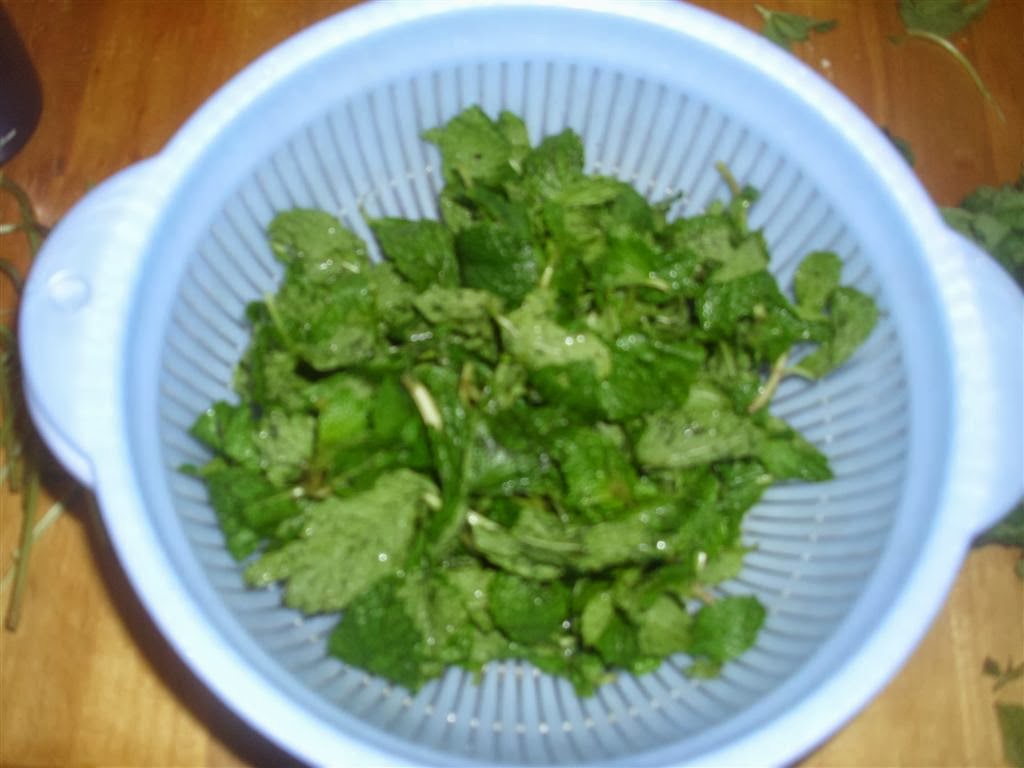 The DoItYourself Mom DIY {Natural Mint} Hot Chocolate